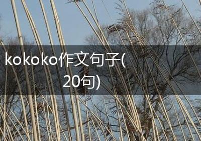 kokoko作文句子(20句)