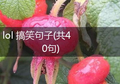 lol 搞笑句子(共40句)