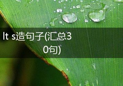 lt s造句子(汇总30句)