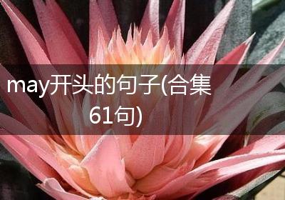 may开头的句子(合集61句)