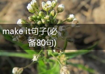 make it句子(必备80句)