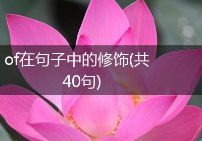 of在句子中的修饰(共40句)