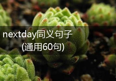 nextday同义句子(通用60句)