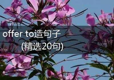 offer to造句子(精选20句)