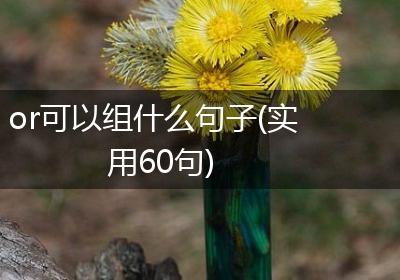 or可以组什么句子(实用60句)