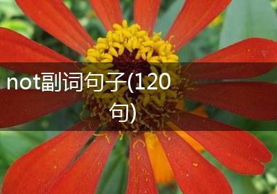 not副词句子(120句)