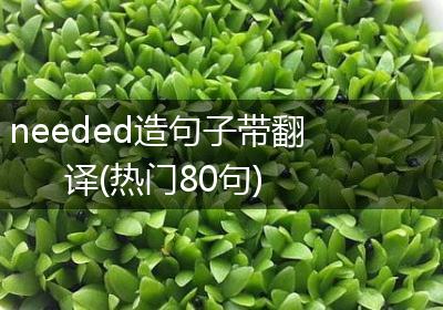 needed造句子带翻译(热门80句)