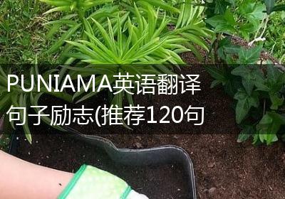 PUNIAMA英语翻译句子励志(推荐120句)