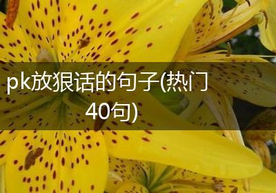pk放狠话的句子(热门40句)