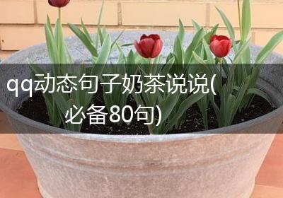 qq动态句子奶茶说说(必备80句)
