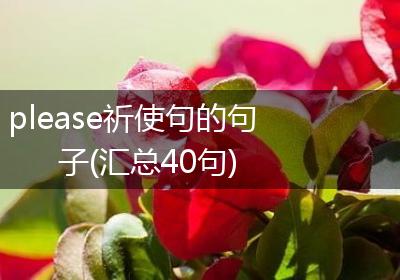 please祈使句的句子(汇总40句)