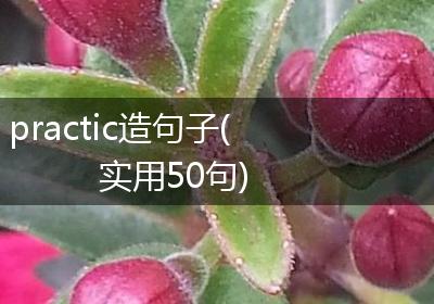 practic造句子(实用50句)