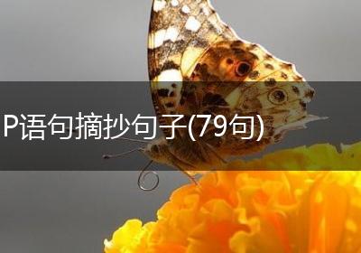 P语句摘抄句子(79句)