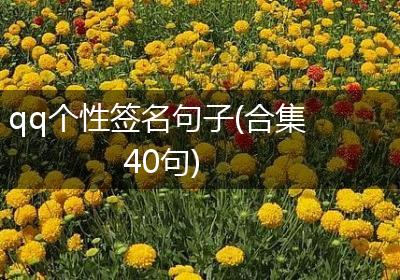 qq个性签名句子(合集40句)