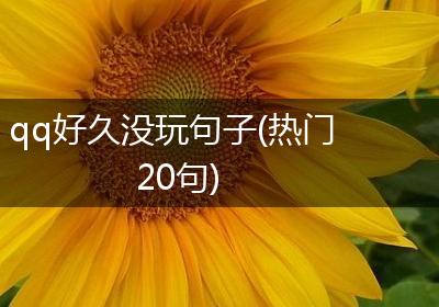 qq好久没玩句子(热门20句)