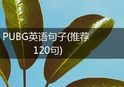 PUBG英语句子(推荐120句)