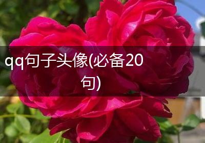qq句子头像(必备20句)