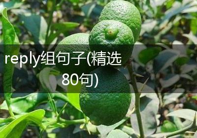 reply组句子(精选80句)