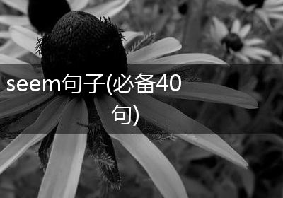 seem句子(必备40句)