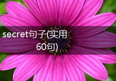 secret句子(实用60句)