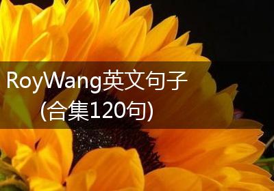 RoyWang英文句子(合集120句)