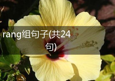 rang组句子(共24句)