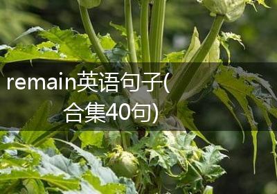 remain英语句子(合集40句)