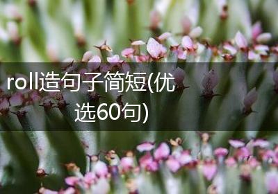 roll造句子简短(优选60句)