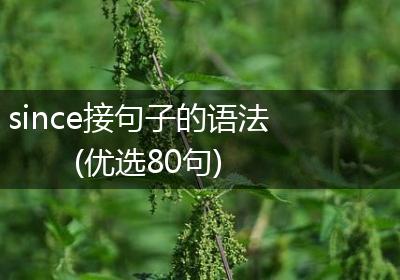 since接句子的语法(优选80句)
