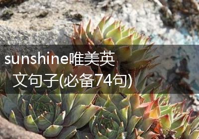 sunshine唯美英文句子(必备74句)
