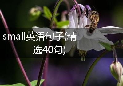 small英语句子(精选40句)