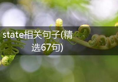 state相关句子(精选67句)