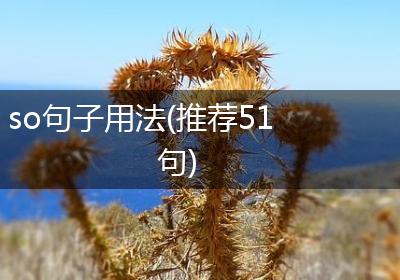 so句子用法(推荐51句)