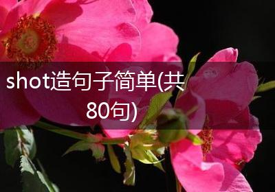 shot造句子简单(共80句)