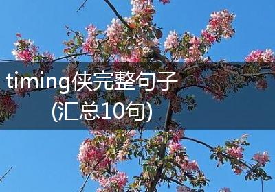 timing侠完整句子(汇总10句)