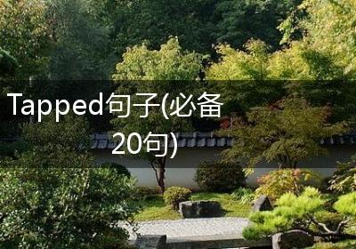 Tapped句子(必备20句)
