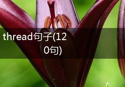 thread句子(120句)