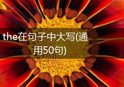 the在句子中大写(通用50句)