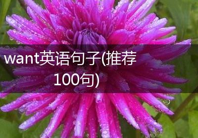 want英语句子(推荐100句)