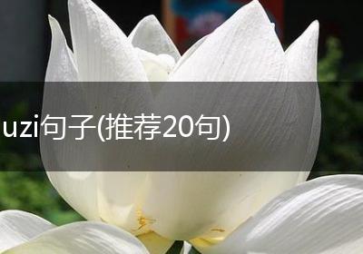 uzi句子(推荐20句)