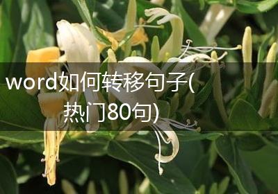word如何转移句子(热门80句)