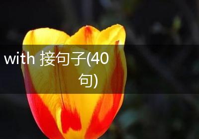 with 接句子(40句)