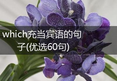 which充当宾语的句子(优选60句)
