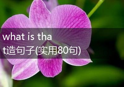 what is that造句子(实用80句)