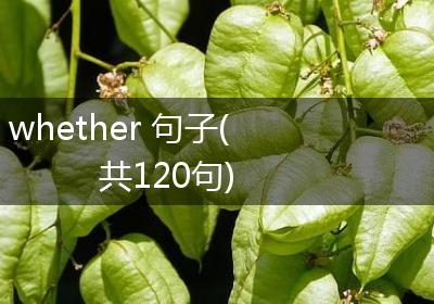whether 句子(共120句)