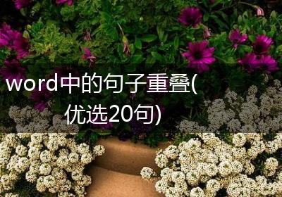 word中的句子重叠(优选20句)