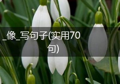 _像_写句子(实用70句)