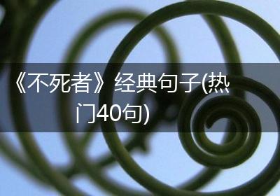《不死者》经典句子(热门40句)