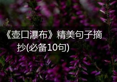 《壶口瀑布》精美句子摘抄(必备10句)