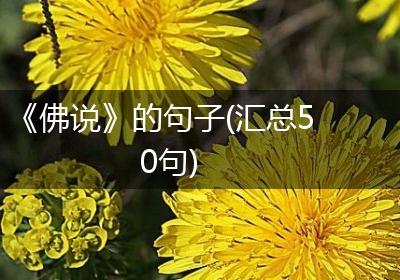 《佛说》的句子(汇总50句)